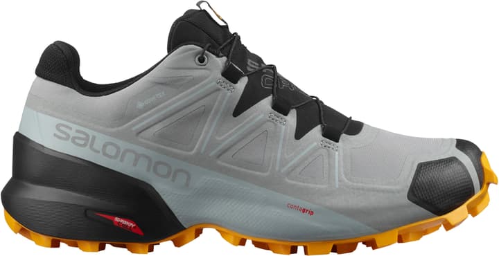 Image of Salomon Speedcross 5 GTX Runningschuhe hellgrau
