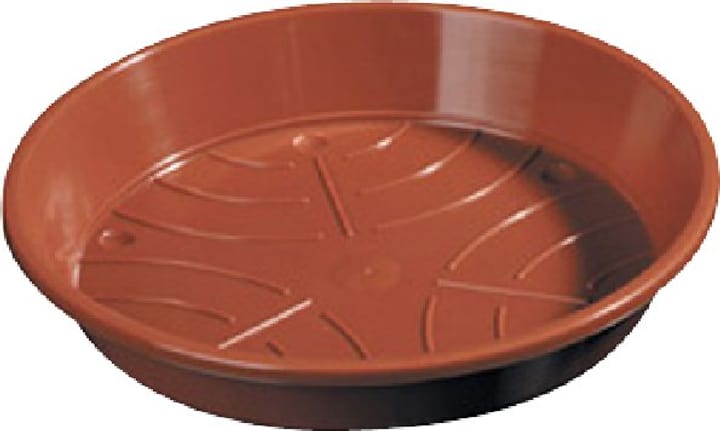 Sottovaso in materia sintetica Sottovaso in materia sintetica 659445400000 Taglio ø: 6.0 cm Colore Marrone N. figura 1