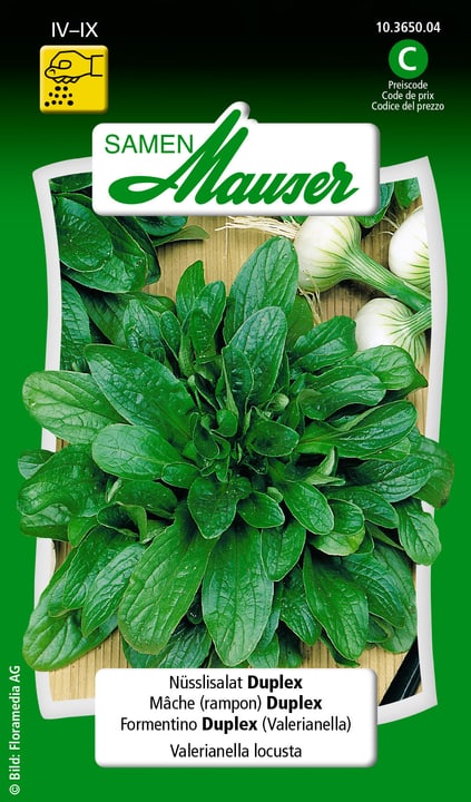 Image of Samen Mauser Nüsslisalat Duplex Gemüsesamen bei Do it + Garden von Migros