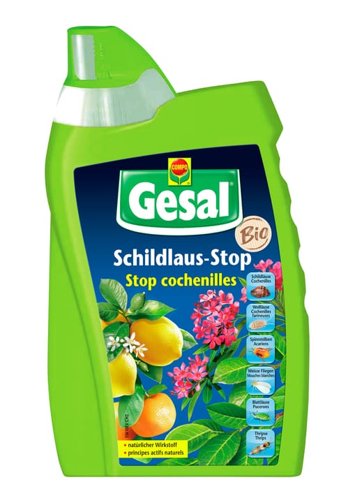 Image of Compo Gesal Schildlaus-Stop, 500 ml Insektizid bei Do it + Garden von Migros