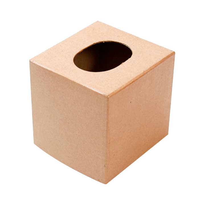 Image of I AM CREATIVE Pappmache-Hülle Kosemetikt. bei Do it + Garden von Migros