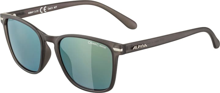 Image of Alpina Yefe Sportbrille hellgrau