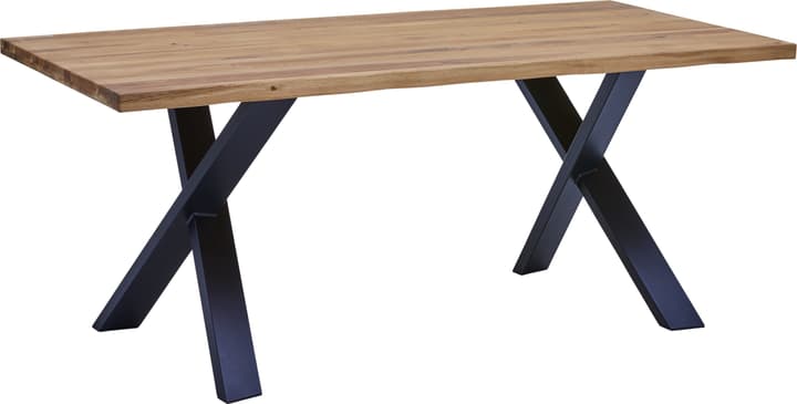 FELINA Tavola FELINA Tavola 402396200000 N. figura 1