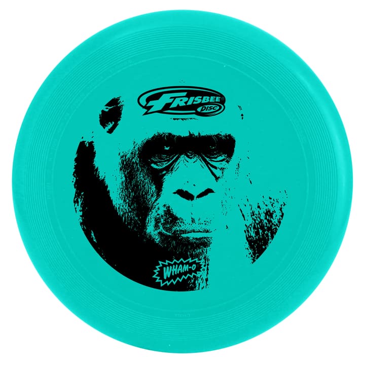 Image of Cool Flyer Frisbee bei Migros SportXX