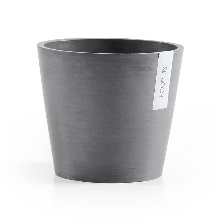 Image of Ecopot Amsterdam Blumentopf bei Do it + Garden von Migros