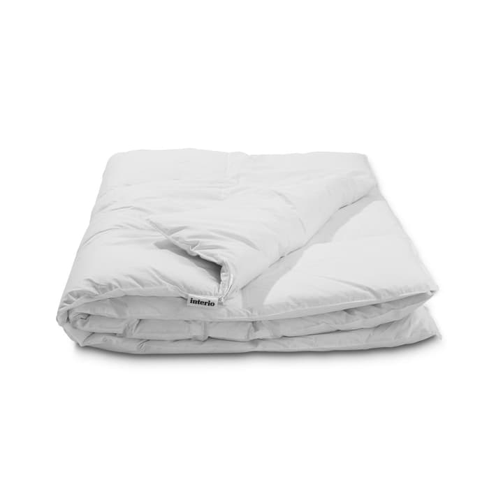 CLASSIC WARMEST Hochwertiges Gänsedaunenduvet mit Milbenschutz CLASSIC WARMEST Hochwertiges Gänsedaunenduvet mit Milbenschutz 376051500000 Farbe Weiss Grösse L: 210.0 cm x B: 160.0 cm Bild Nr. 1