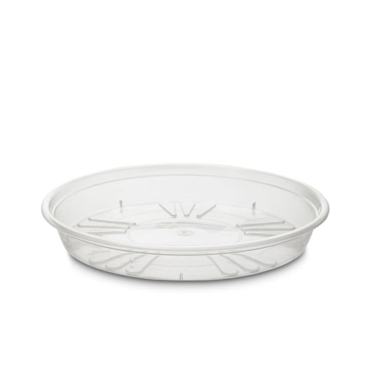 SAUCER Soucoupe SAUCER Soucoupe 382023500000 Dimensions L: 25.0 cm x P: 25.0 cm x H: 3.6 cm Couleur Transparent Photo no. 1