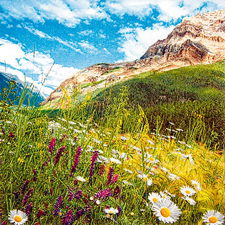 Image of Feldner + Partner Servietten 33cm Mountain Scenery bei Do it + Garden von Migros