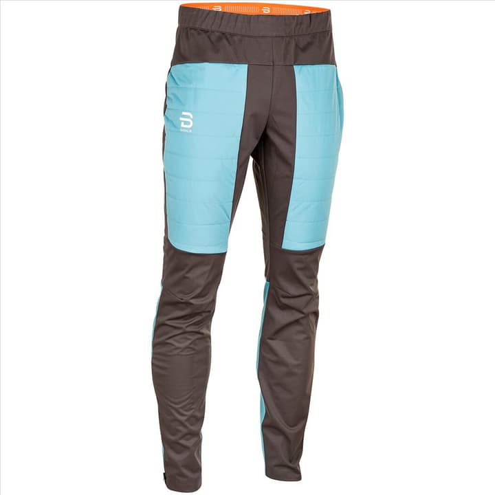 Image of Daehlie M Pants Aware Langlaufhose grau