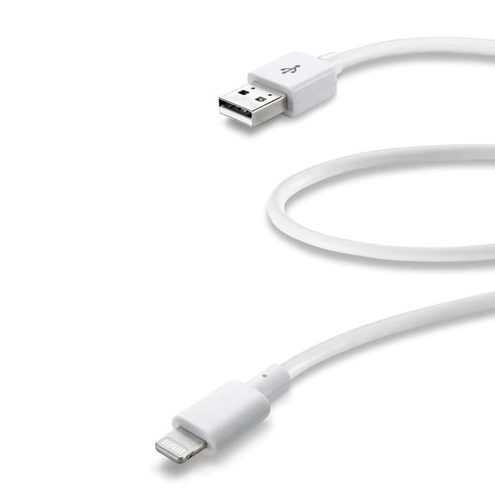 Cellular Line USB Data Cable Medium 60 cm Câbles de recharge USB Data Cable Medium 60 cm Câbles de recharge Cellular Line 621539500000 Photo no. 1