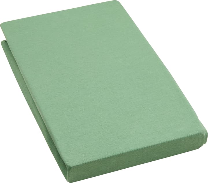EVAN Stretch Jersey-Fixleintuch EVAN Stretch Jersey-Fixleintuch 451053930460 Grösse B: 140.0 cm x H: 200.0 cm Farbe Grün Bild Nr. 1