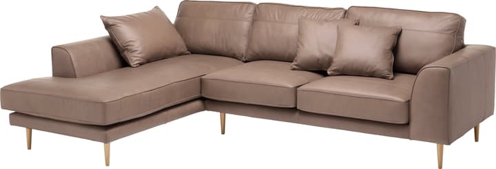 ADLER Canapé d'angle ADLER Canapé d'angle 405729650188 Couleur Gris taupe Dimensions L: 295.0 cm x P: 202.0 cm x H: 90.0 cm Photo no. 1