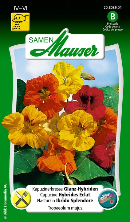 Image of Samen Mauser Kapuzinerkresse Glanz-Hybriden Blumensamen