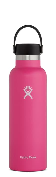 Image of Hydro Flask Standard Mouth 21 oz Isolierflasche / Thermosflasche pink