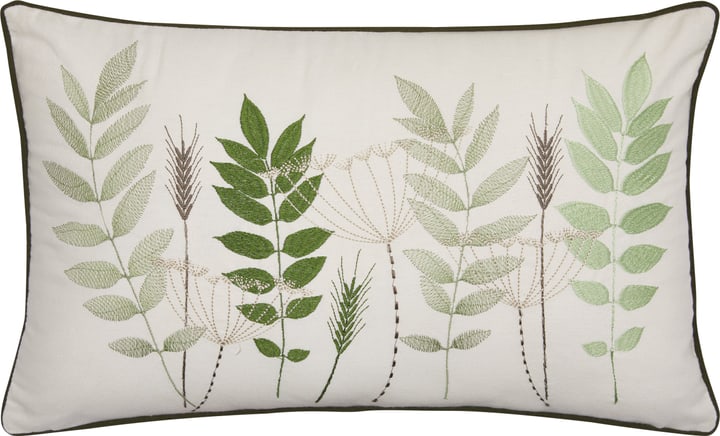 ELADIO Cuscino ELADIO Cuscino 450730340361 Colore Verde chiaro Dimensioni L: 50.0 cm x A: 30.0 cm N. figura 1