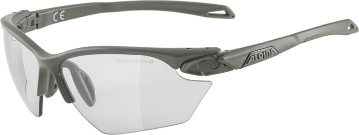 Image of Alpina Twist Five S HR V Sportbrille grau