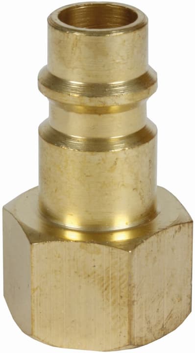 Image of Einhell Gewindestecknippel R1/4 IG Kupplungen bei Do it + Garden von Migros