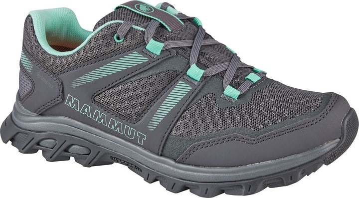 Image of Mammut Girun Low GTX Multifunktionsschuhe grau bei Migros SportXX