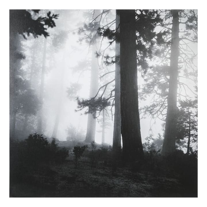 YOSEMITE Tableau YOSEMITE Tableau 384028000000 Photo no. 1