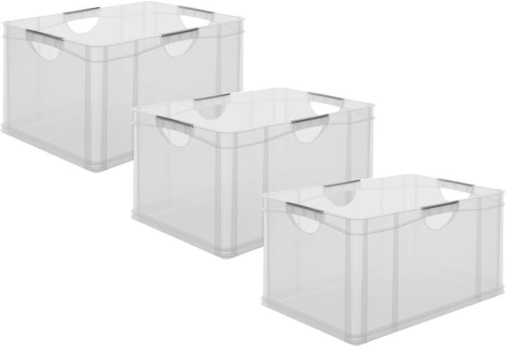 Image of Rotho Systembox A3, 3er Set Aufbewahrungsbox