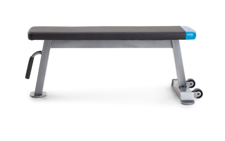 Image of Pro-Form Carbon Strenght Bench Hantelbank