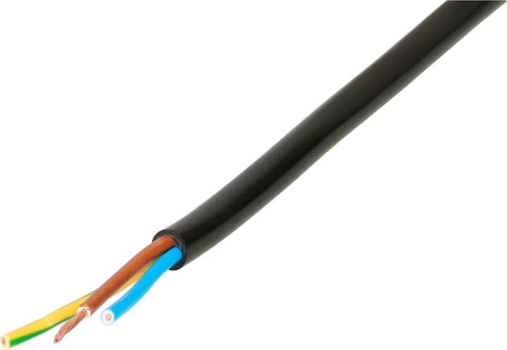 Image of Max Hauri H05VV-F 3x1 10 m TD Kabel bei Do it + Garden von Migros