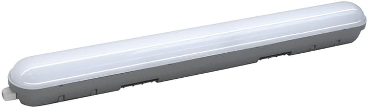 Image of LED 14W Nassraumleuchte bei Do it + Garden von Migros