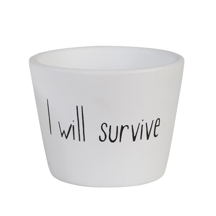 Image of I will survive Übertopf bei Do it + Garden von Migros