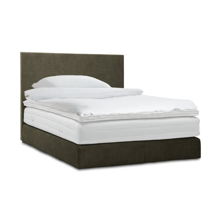 GRACE Boxspringbett GRACE Boxspringbett 364287600000 Grösse B: 200.0 cm x T: 160.0 cm Farbe Dunkelgrün Bild Nr. 1