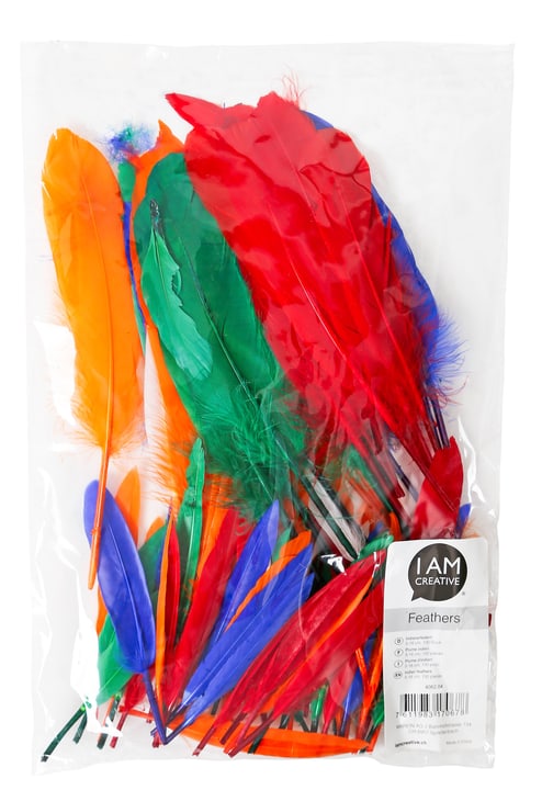 Image of I AM CREATIVE Bunte Federn bei Do it + Garden von Migros