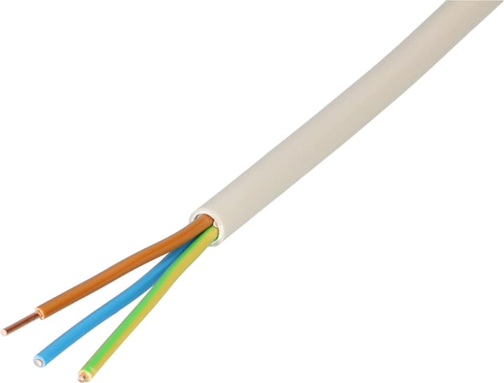 Image of Max Hauri CH-N1VV-U 3x1.5 50 m TT Kabel