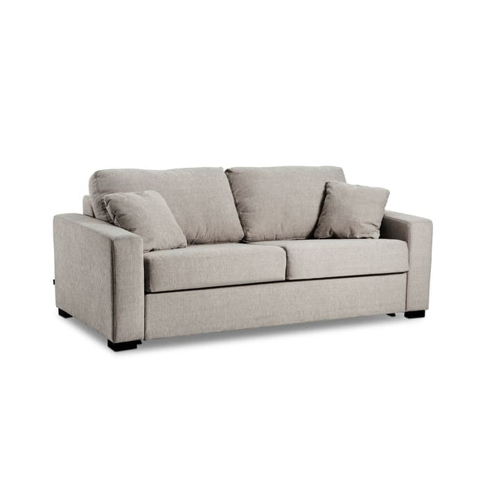 GEORGE Nancy 3er Bettsofa GEORGE Nancy 3er Bettsofa 360208700000 Grösse B: 140.0 cm x T: 195.0 cm Farbe Grau Bild Nr. 1
