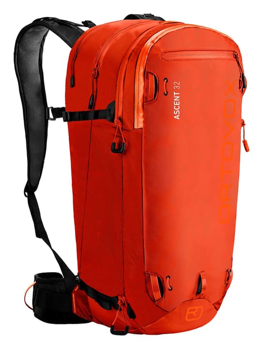 Image of Ortovox Ascent 32 Winterrucksack beige bei Migros SportXX