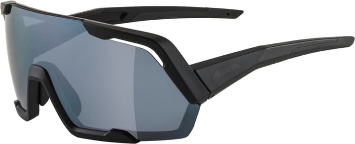 Image of Alpina Rocket Sportbrille