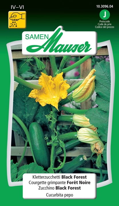 Image of Samen Mauser Black Forest F1 Gemüsesamen bei Do it + Garden von Migros