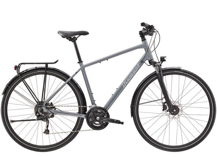 Image of Diamant Elan Deluxe Trekkingbike grau bei Migros SportXX