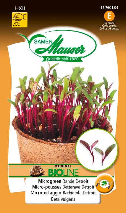 Image of Samen Mauser BIO-Microgreen Rande Detroit Microgreen
