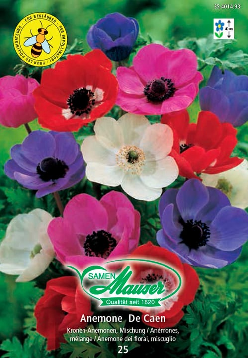 Image of Samen Mauser Anemonen Mischung, 25 Knollen Blumenzwiebeln