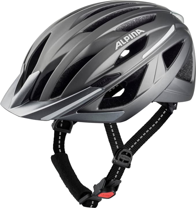 Image of Alpina Haga darksilver matt Velohelm silber bei Migros SportXX