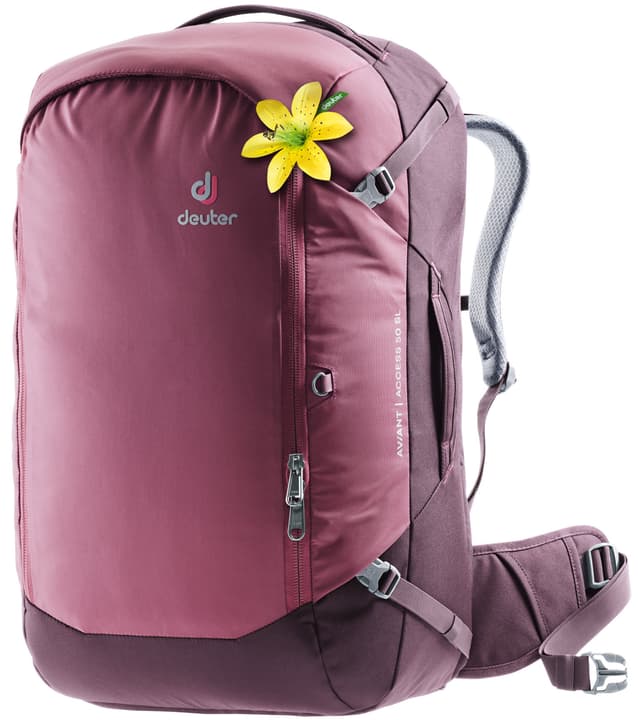 Image of Deuter AViANT Access 50 SL Damen-Reiserucksack himbeer bei Migros SportXX