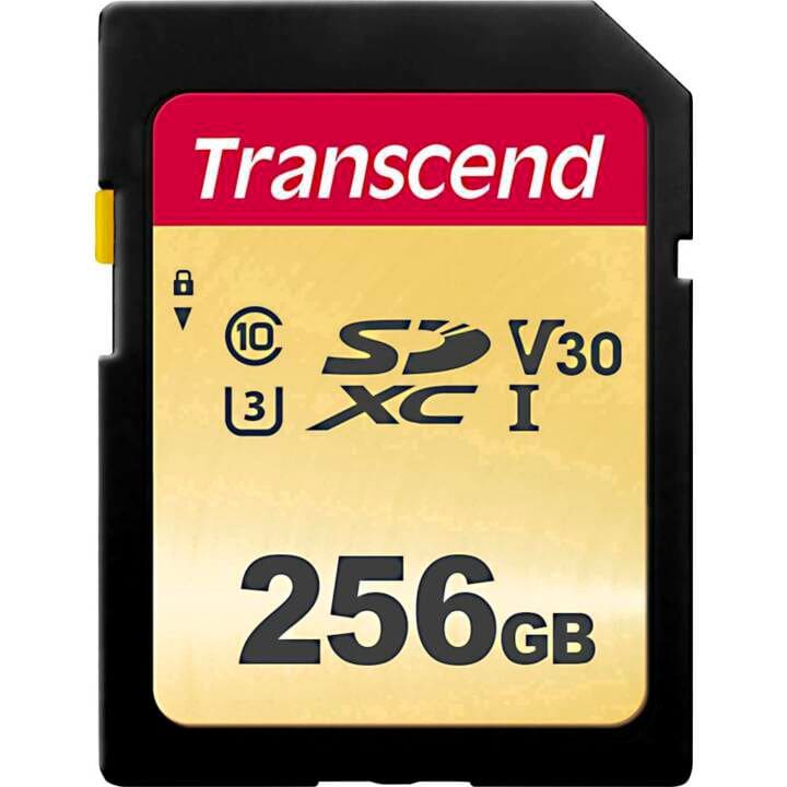 Transcend SD Card 500S, MLC 256GB SDXC Scheda di memoria SD SD Card 500S, MLC 256GB SDXC Scheda di memoria SD Transcend 785300147295 N. figura 1