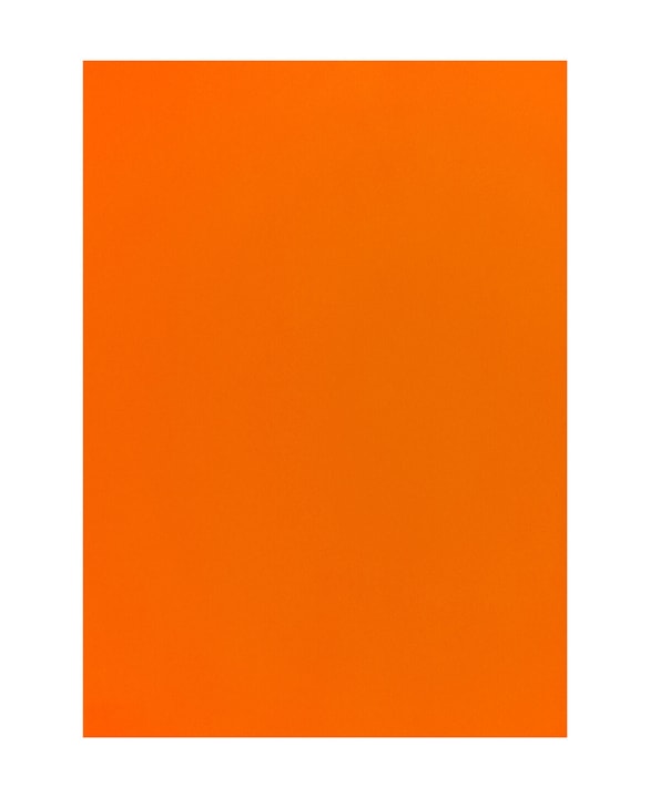 Image of Fotokarton 50X70 Orange bei Do it + Garden von Migros