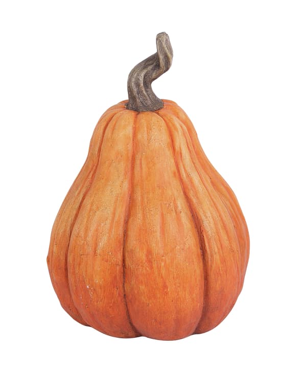 Image of Kürbis Deko Figur bei Do it + Garden von Migros