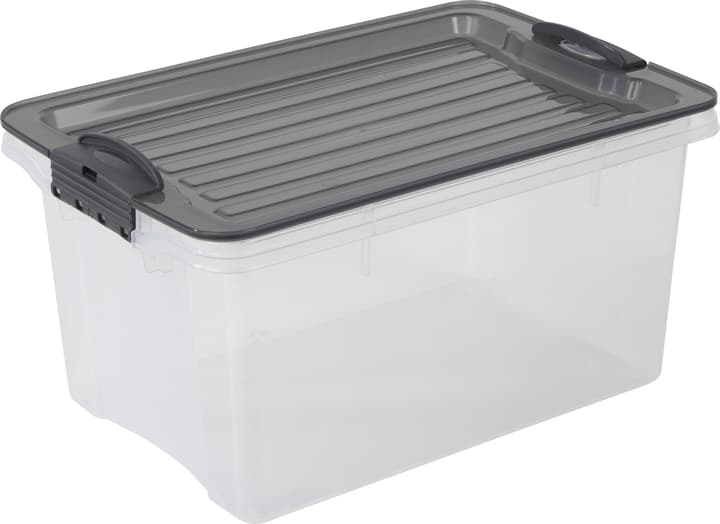 Image of Rotho Compact Aufbewahrungsbox 4.5l mit Deckel, Kunststoff (PP) BPA-frei, grau/transparent, A5 bei Do it + Garden von Migros