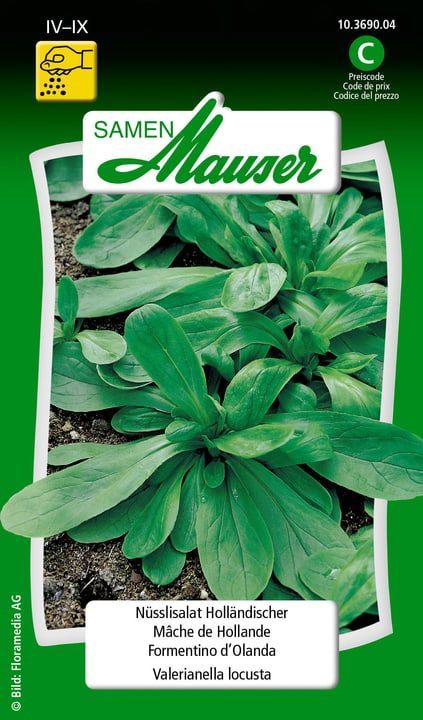 Image of Samen Mauser Nüsslisalat Holländischer Gemüsesamen bei Do it + Garden von Migros