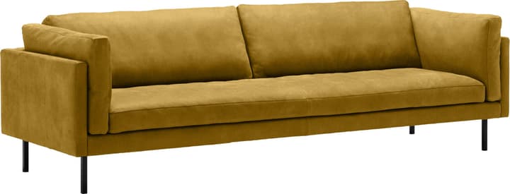 3.5er-Sofa BOVINA