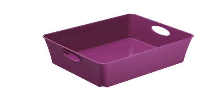 Image of Rotho LIVING Box/Formularschale, Kunststoff (PP) BPA-frei, violett, C5/DIN A5 Korb bei Do it + Garden von Migros