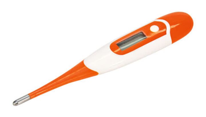 Kerbl Fieberthermometer Thermometer