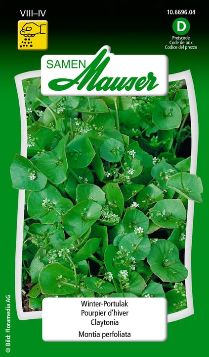 Image of Samen Mauser Winter-Portulak Gemüsesamen bei Do it + Garden von Migros