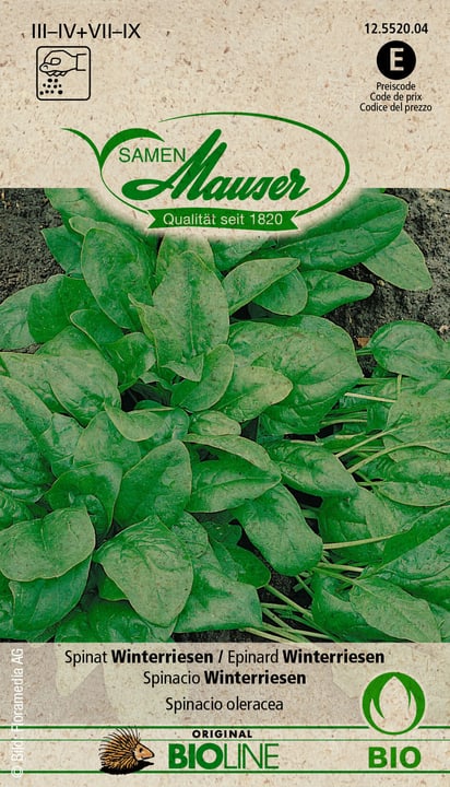 Image of Samen Mauser Spinat Winterriesen Gemüsesamen bei Do it + Garden von Migros
